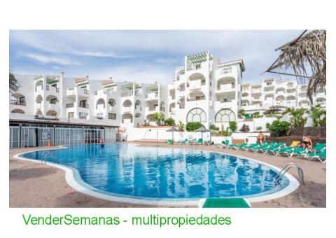 Callao Garden, Tenerife
