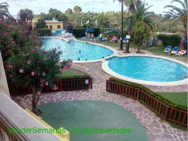 Parque Denia, Alicante